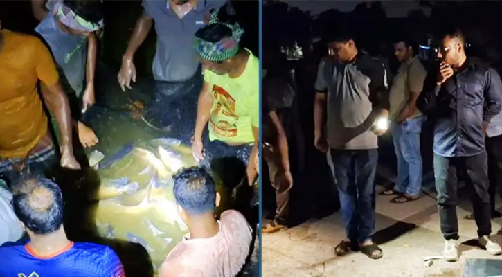 রাতের আঁধারে সরকারি দিঘির মাছ ধরে নিয়ে গেলেন ২ ম্যাজিস্ট্রেট