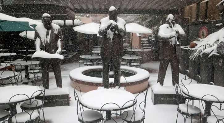 যুক্তরাষ্ট্রের দক্ষিণাঞ্চলে বিরল তুষারঝড়, ২২০০ ফ্লাইট বাতিল