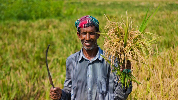 কৃষিঋণ মওকুফে স্বস্তিতে ১৪ লাখ কৃষক