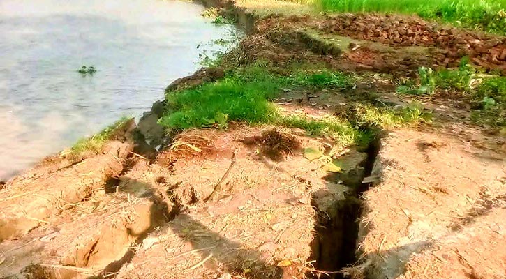 বিষখালীতে হঠাৎ ভাঙন শুরু, বিলীন হচ্ছে মানকি-সুন্দর ও বাদুরতলা গ্রাম