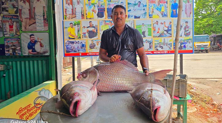 পদ্মার ৩ কাত‌ল সোয়া লক্ষ টাকায়‌ বি‌ক্রি