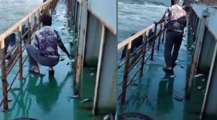 পটুয়াখালীতে জাহাজের ডেকে ঝাঁকে ঝাঁকে লাফিয়ে এলো ইলিশ, ৩ মণ সংগ্রহ