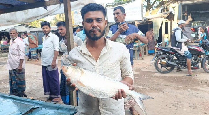জেলের জালে আড়াই কেজির ইলিশ, সাড়ে ৯ হাজারে বিক্রি