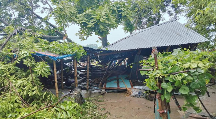 কালবৈশাখী ঝড়ে গাছের নিচে চাপা পড়ে প্রাণ গেল মাসহ দুই মেয়ের