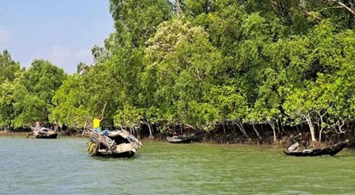 সুন্দরবনে প্রবেশে আজ থেকে তিন মাসের নিষেধাজ্ঞা