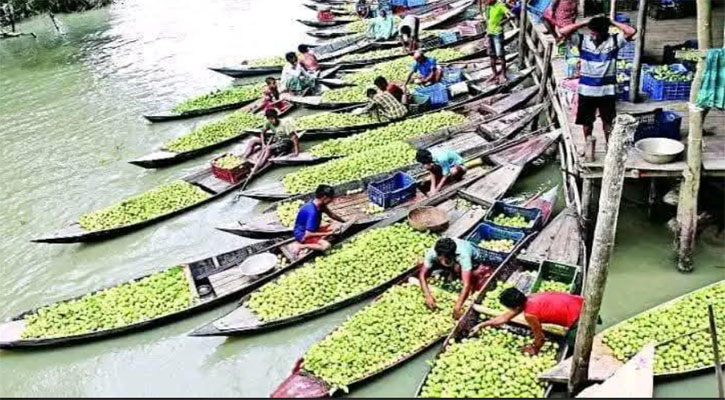 আটঘর-কুড়িয়ানা পেয়ারা বাগানের পরিবেশ রক্ষায় ৬ নির্দেশনা
