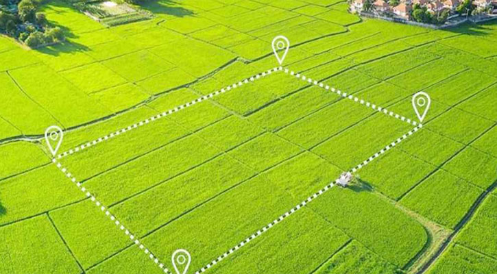 জমির নামজারি খুবই গুরুত্বপূর্ণ, জেনে নিন কিভাবে করবেন