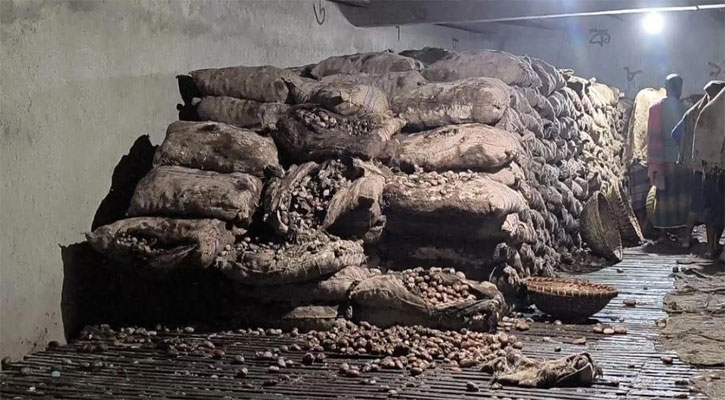 বেশি লাভের আশায় মজুদ, পচে গেল ৩০ হাজার মণ আলু