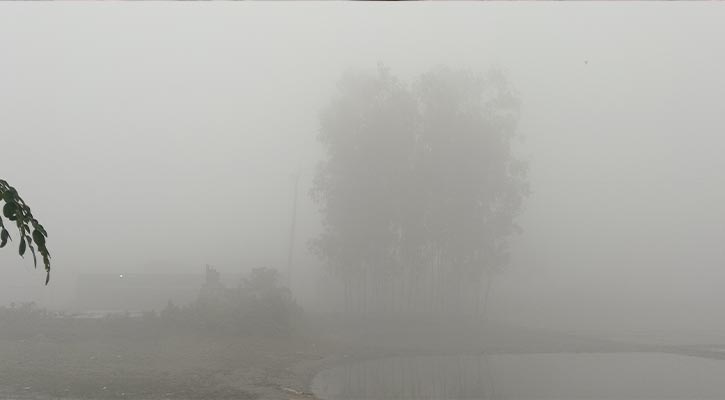 কুয়াশার চাদরে ঢেকে গেছে নীলফামারী