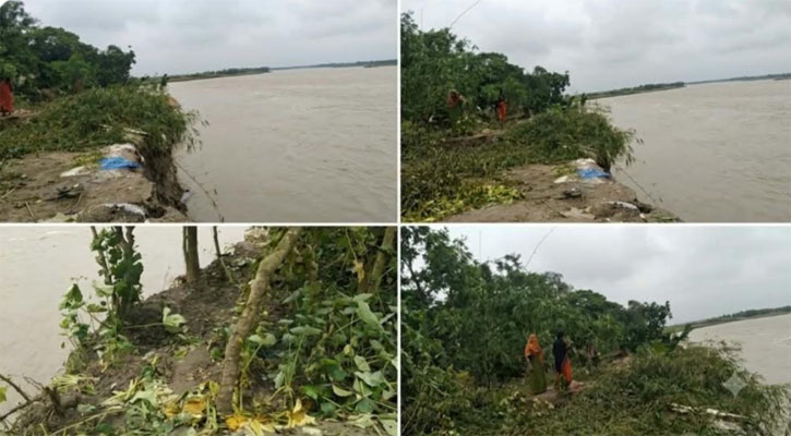 পদ্মায় বিলীন ৩৫ বসতঘর, ভাঙনের মুখে লালপুরের শতাধিক পরিবার