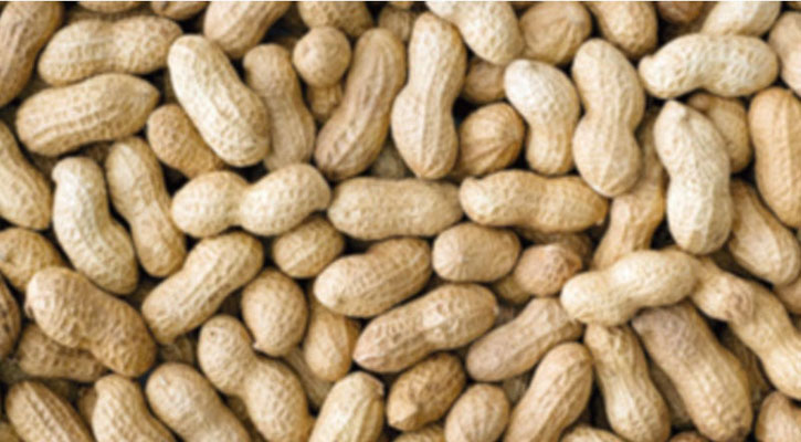 বাদাম খেয়েই অ্যালার্জি থেকে রক্ষা ৬০ হাজার শিশুর