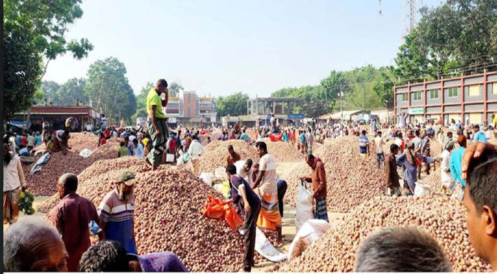 মাত্র ২০০ টাকা মণ দরে পেঁয়াজ বিক্রি