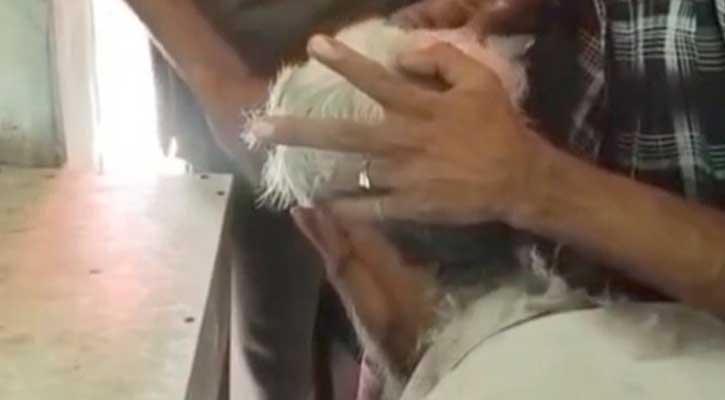 পকেটমার সন্দেহে জনসম্মুখে বৃদ্ধকে ন্যাড়া করে ভিডিও ছড়ানোর অভিযোগ