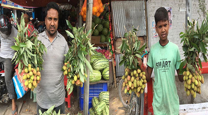 ঈশ্বরদীর বাজারে আসছে অপরিপক্ব লিচু, দামও চড়া