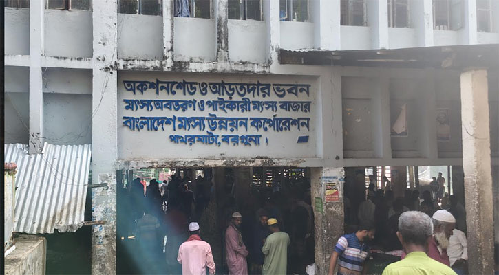 ইলিশের আশায় সাগরে, হতাশা নিয়ে ঘাটে ফিরছেন জেলেরা