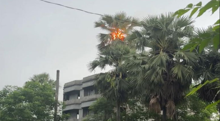 পাথরঘাটায় বজ্রপাতে তালগাছে আগুন, আতঙ্কে এলাকাবাসী