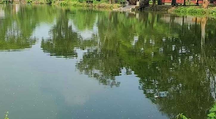 ঈদে নানার বাড়ি বেড়াতে এসে পানিতে ডুবে ভাই-বোনের মৃত্যু