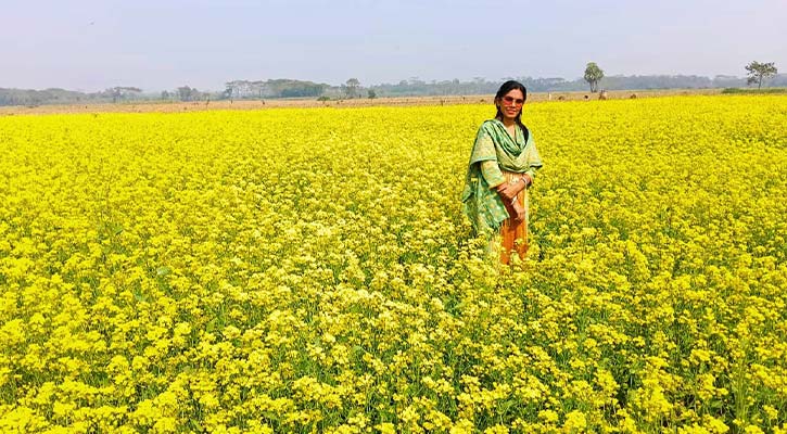 পিরোজপুরে সরিষার বাম্পার ফলন, দেড় হাজার টন তেল উৎপাদনের সম্ভাবনা 