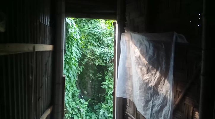 নাবালক মেয়ের গর্ভপাতের চেষ্টা: গোপন কেবিন ও পালানোর পথ উদ্ধার