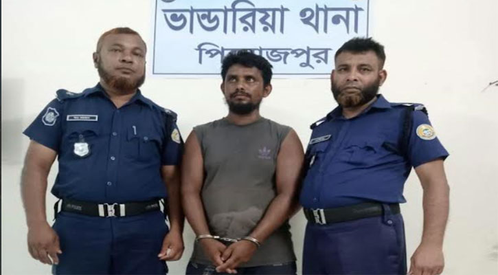 পিরোজপুরে গরুর হাটে চাঁদাবাজি, যুবক গ্রেফতার 