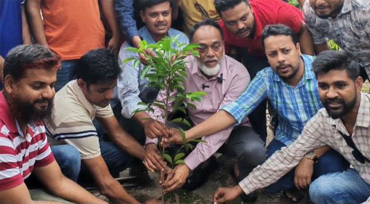 জুলাই আন্দোলনে নিহত ৭৩৪ নেতাকর্মীর স্মরণে গাছের চারা রোপণ 