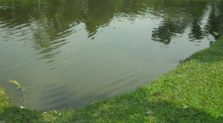 পুকুরে ডুবে একসঙ্গে প্রাণ গেল ৪ শিশুর