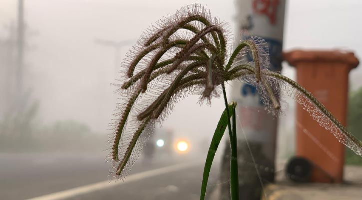 রাজশাহীতে হাড়কাঁপানো শীত