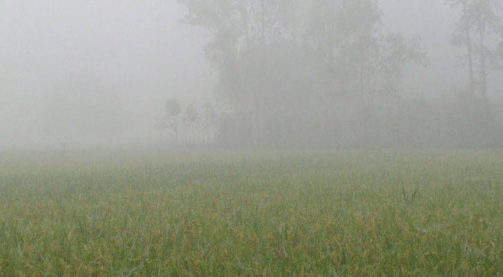 শীত শুরু, কুয়াশায় ঢাকা পড়ছে চারদিক