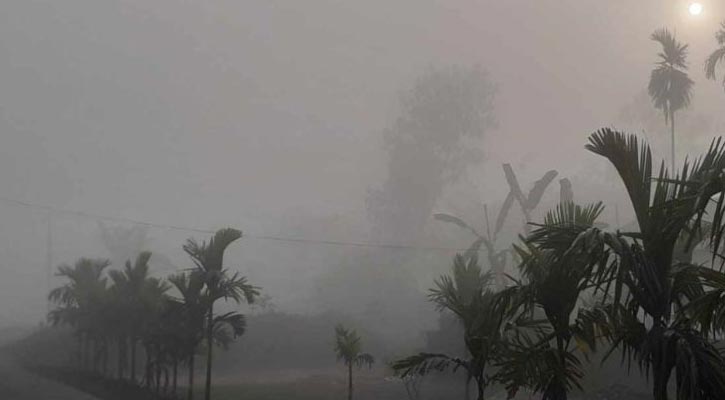 তেঁতুলিয়ায় তীব্রতর হচ্ছে শীত, তাপমাত্রা নেমে ১১.৭ ডিগ্রি