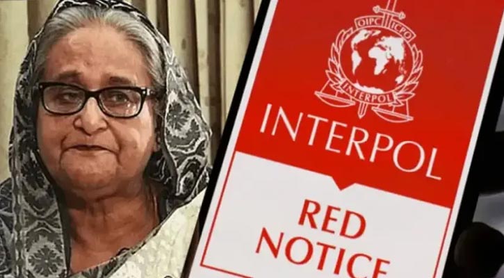 শেখ হাসিনাকে ফেরাতে ইন্টারপোলে আবেদনের প্রস্তুতি শুরু