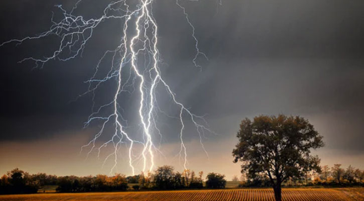 বজ্রপাতে বিভিন্ন জেলায় ১২ জনের মৃত্যু