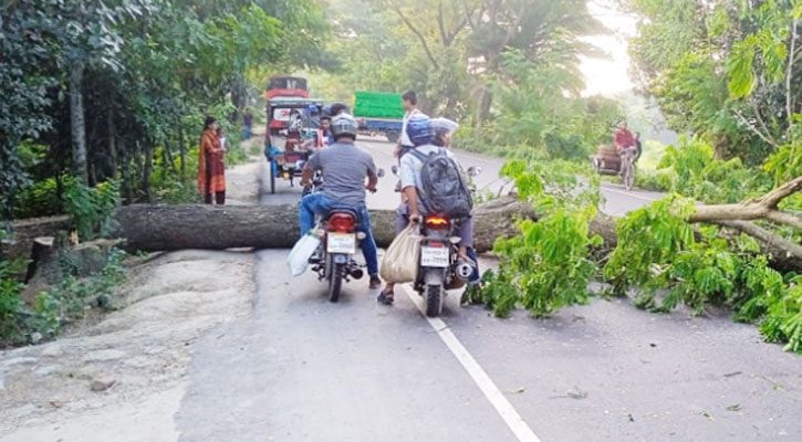 দক্ষিণাঞ্চলের সাথে ঢাকার যোগাযোগ বন্ধ