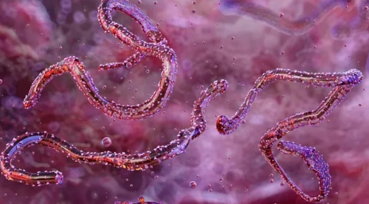 চোখ রাঙাচ্ছে নতুন প্রাণঘাতী ছোঁয়াচে ভাইরাস ‘মারবুর্গ’