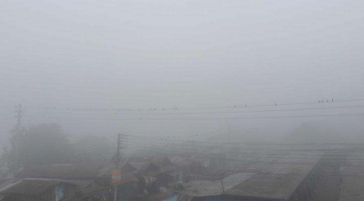 মৃদু শৈত্যপ্রবাহ বইছে যেসব জেলায়