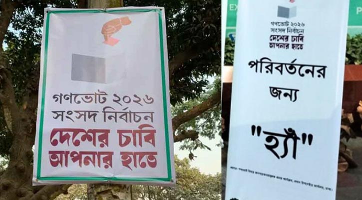 গণভোটে ‘হ্যাঁ’ জিতলে সংবিধানে যা যা বদলে যাবে, নতুন যুক্ত হবে যেসব বিষয়